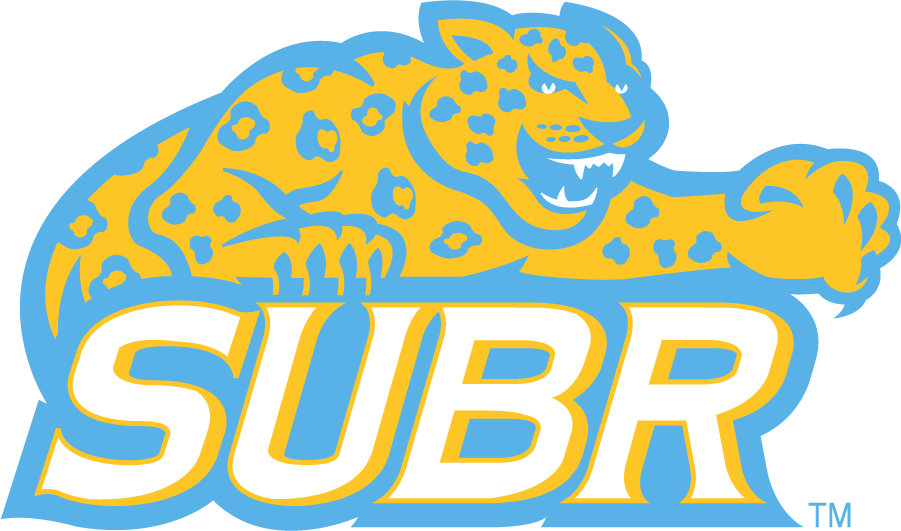 Southern Jaguars 2014-2016 Alternate Logo diy iron on heat transfer